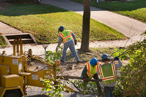 Lawn Watering Services in Morgandale, OH